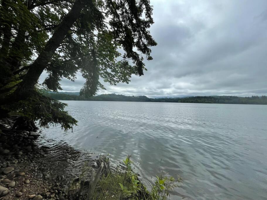 Romantic Cozy Cabin Walk To Lake Hot Tub Bikes Kayaks Grill Onalaska Extérieur photo